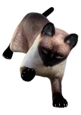 Beyaz arka planda izole edilmiş bir siyam kedisinin 3B görüntülemesi