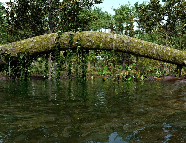 Vykreslování Krajiny Tropických Deštných Pralesů — Stock fotografie
