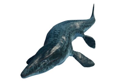 Soyu tükenmiş büyük bir deniz sürüngeni olan Mosasaur 'un üç boyutlu görüntüsü beyaz arka planda izole edildi.