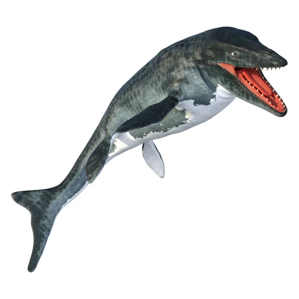 Rendering Large Marine Extinct Reptile Mosasaur Isolated White Background — Stock Photo, Image