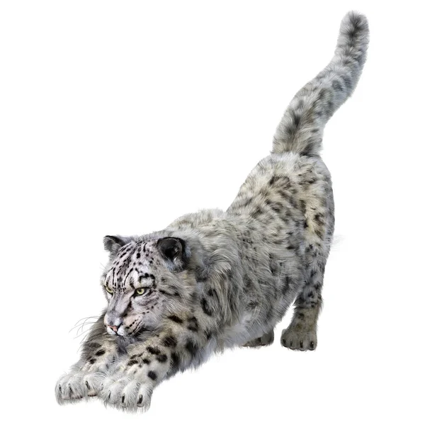 Renderização Grande Leopardo Neve Gato Isolado Fundo Branco — Fotografia de Stock