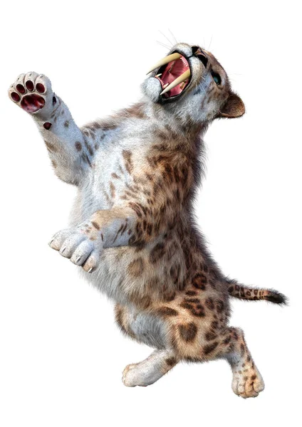 Renderização Tigre Sabertooth Isolado Fundo Branco — Fotografia de Stock