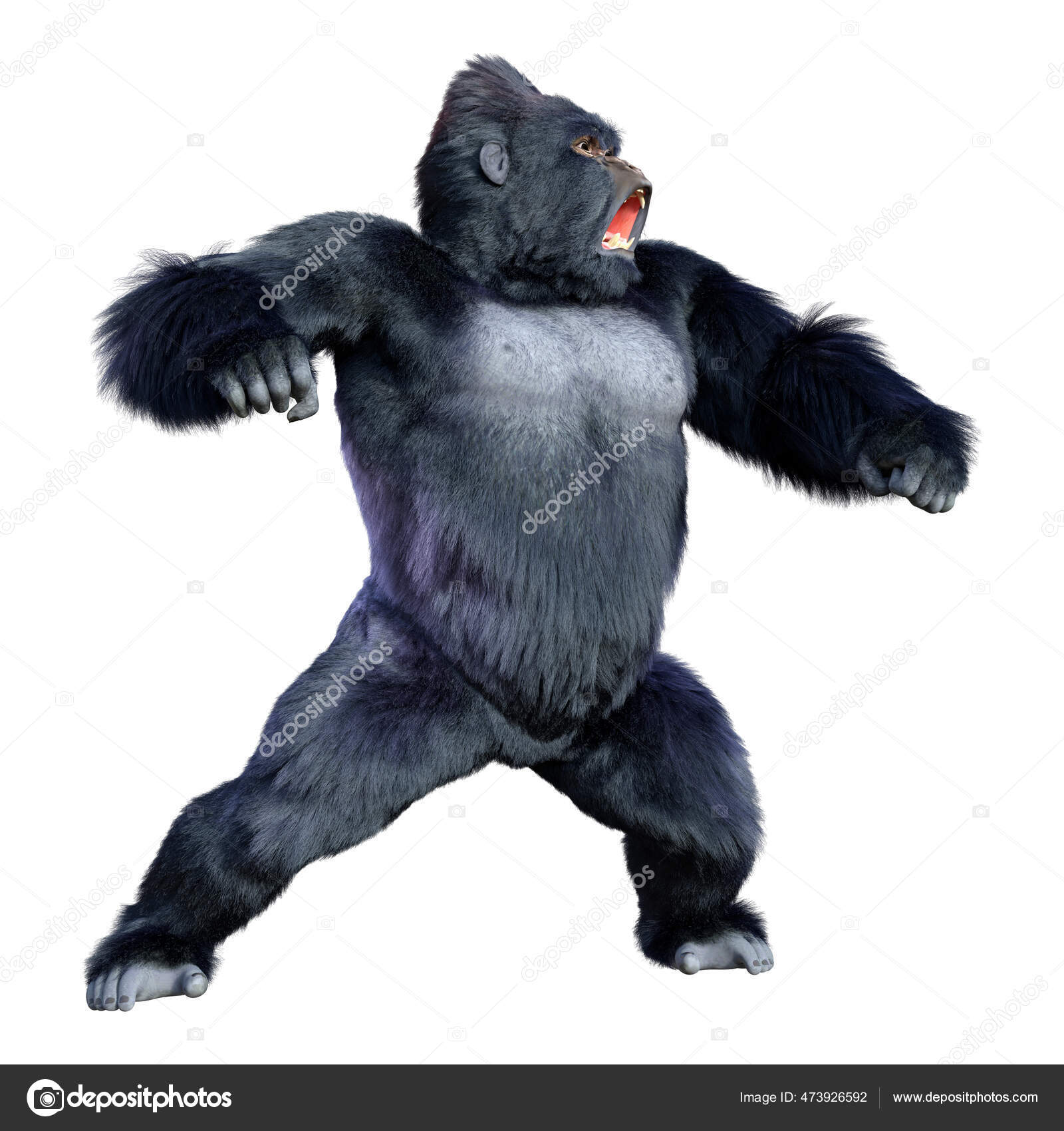 chimpancé valiente con una mirada afilada: vector de stock (libre de  regalías) 1929866849 | Shutterstock, image size:1600x1700