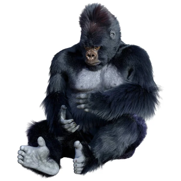 白色背景下孤立的黑色大猩猩猿的三维绘制 — 图库照片