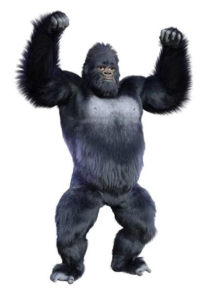 Återgivning Svart Gorilla Apa Isolerad Vit Bakgrund — Stockfoto