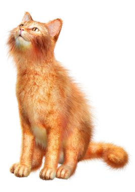 Beyaz arkaplanda izole edilmiş bir kırmızı kedinin 3B görüntülemesi