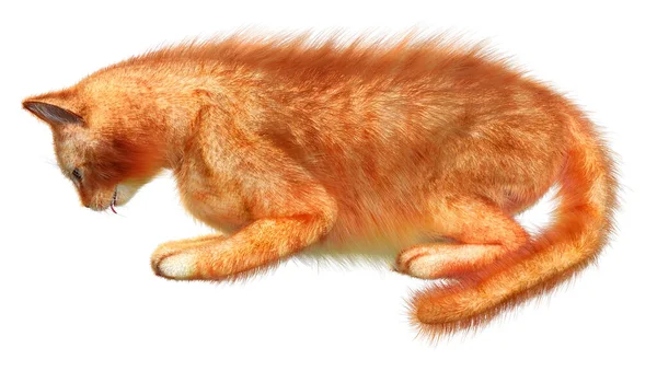 Візуалізація Червоного Кота Ізольовано Білому Тлі — стокове фото
