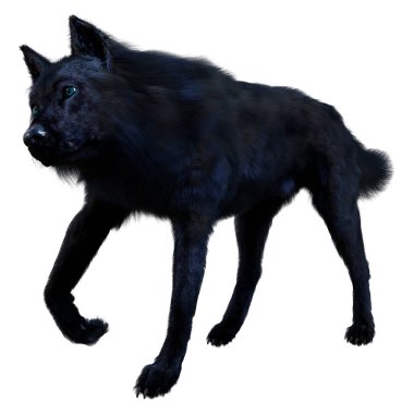 Beyaz arkaplanda izole edilmiş bir siyah kurdun 3D görüntüsü