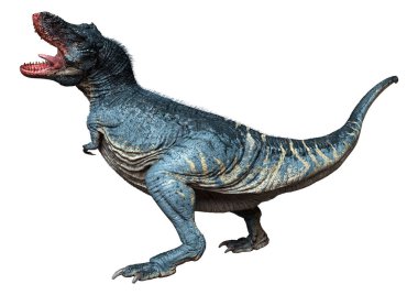 Beyaz zemin üzerinde izole edilmiş bir dinozor Tyrannosaurus Rex 'in 3D görüntüsü