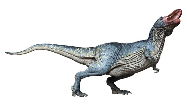 Rendering Eines Dinosauriers Tyrannosaurus Rex Isoliert Auf Weißem Hintergrund — Stockfoto