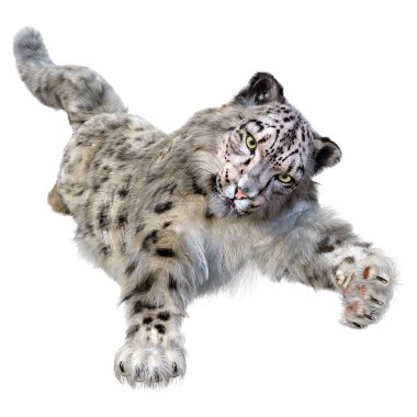 Beyaz zemin üzerinde izole edilmiş büyük bir kedi kar leoparının 3 boyutlu görüntüsü