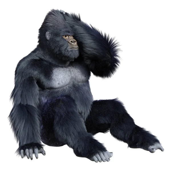 Återgivning Svart Gorilla Apa Isolerad Vit Bakgrund — Stockfoto