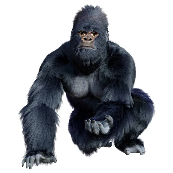 Rendering Eines Schwarzen Gorilla Affen Isoliert Auf Weißem Hintergrund — Stockfoto