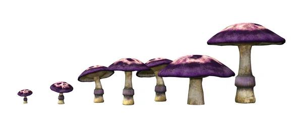 Rendering Purple Fantasy Mushrooms Isolated White Background — Stock Photo, Image