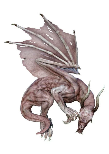 Rendering Fantasy Dragon Isolated White Background — Stock Photo, Image