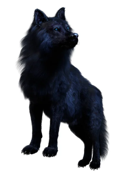 Rendering Black Wolf Isolated White Background — Stock Photo, Image