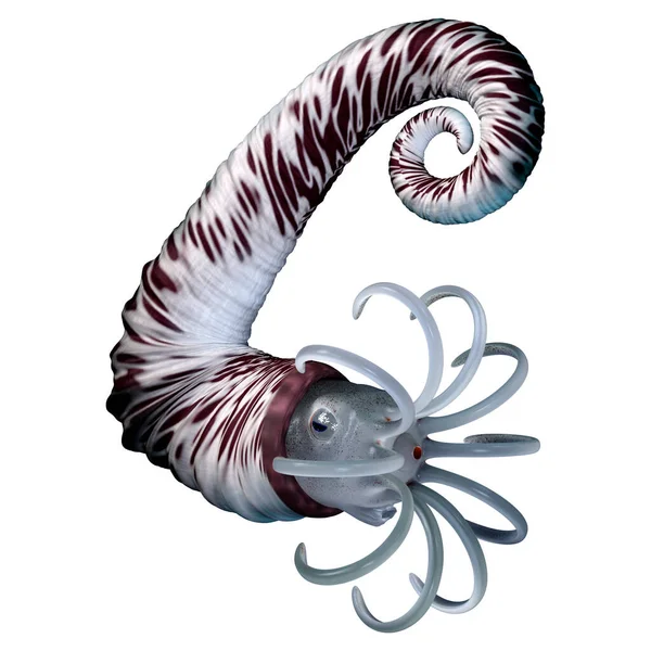 Audouliceras 렌더링 Cephalopod 배경에서 — 스톡 사진