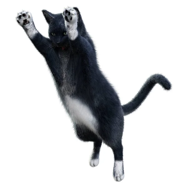 白地に隔離された黒猫の3Dレンダリング — ストック写真