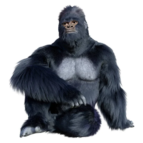 Weergave Van Een Zwarte Gorilla Aap Geïsoleerd Witte Achtergrond — Stockfoto