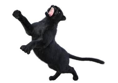 Beyaz arka planda izole edilmiş büyük bir kedi siyah panterinin 3 boyutlu görüntüsü