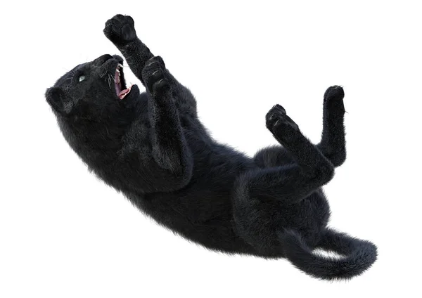 Weergave Van Een Grote Kat Zwarte Panter Geïsoleerd Witte Achtergrond — Stockfoto
