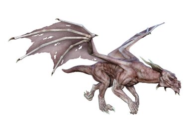 Beyaz arka planda izole edilmiş bir fantezi ejderhanın 3 boyutlu canlandırması