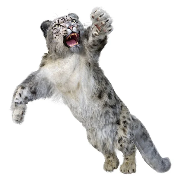 Representación Gran Leopardo Nieve Gato Aislado Sobre Fondo Blanco — Foto de Stock