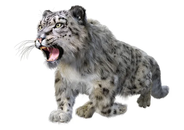 Renderização Grande Leopardo Neve Gato Isolado Fundo Branco — Fotografia de Stock