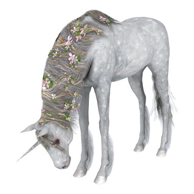 Beyaz unicorn