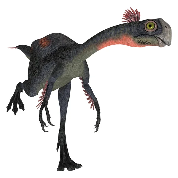 Gigantoraptor de dinosaurio — Foto de Stock