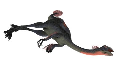 ölü dinozor gigantoraptor