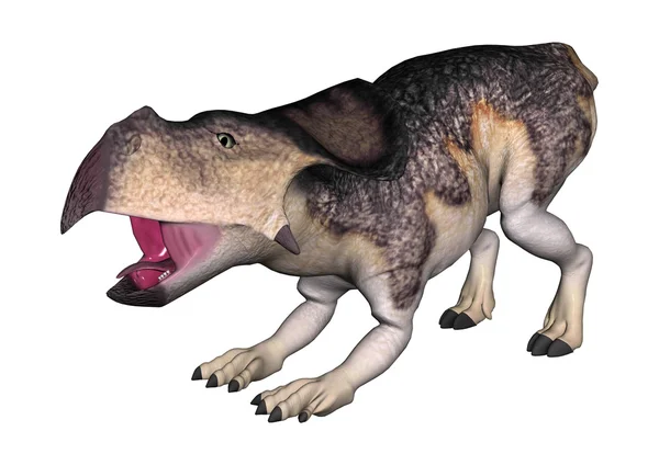 Protoceratopy dinozaurów — Zdjęcie stockowe