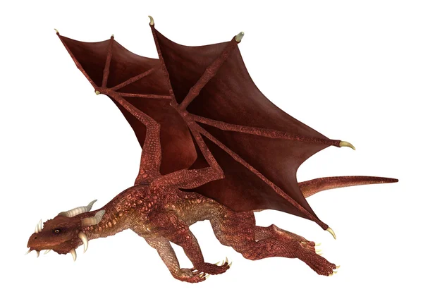 Dragón rojo — Foto de Stock
