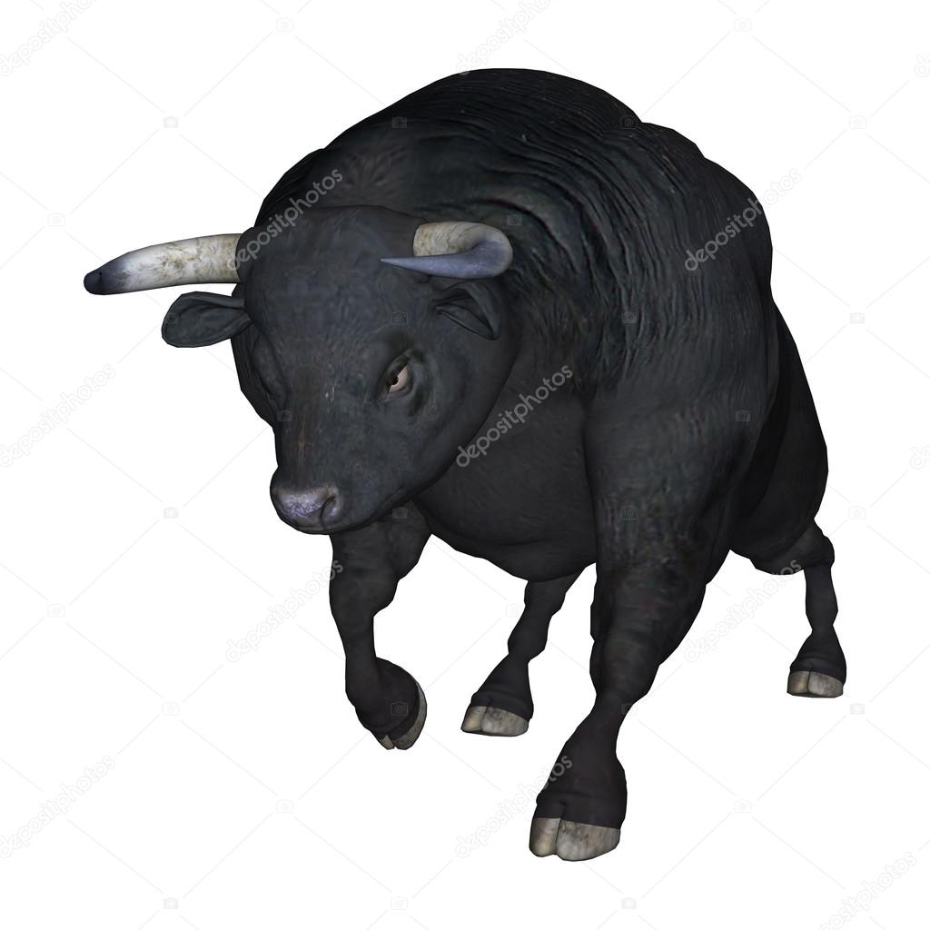 Bull