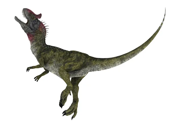 공룡 cryolophosaurus — 스톡 사진