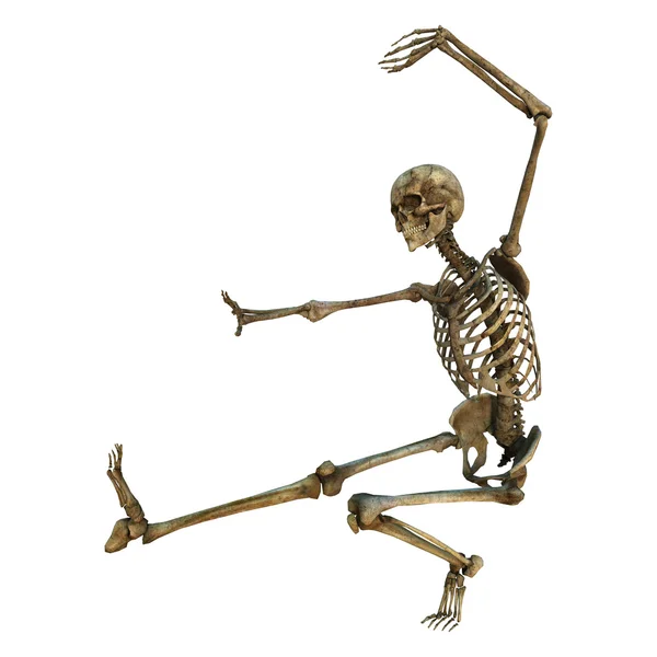 Human Skeleton — Stock Photo, Image