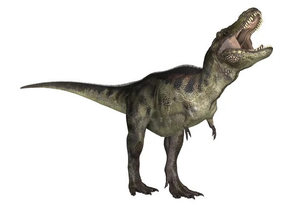 Dinoszaurusz tyrannosaurus — Stock Fotó