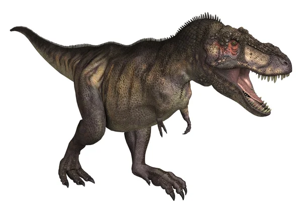 Dinozaurów tyrannosaurus — Zdjęcie stockowe