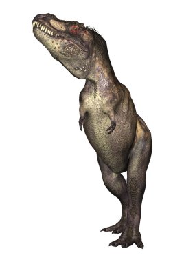 dinozor tyrannosaurus