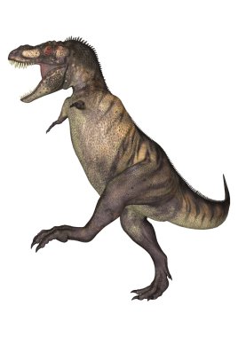 dinozor tyrannosaurus