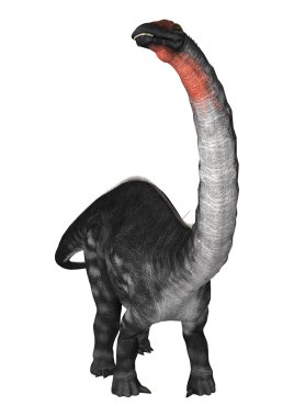 Dinozor Apatosaurus