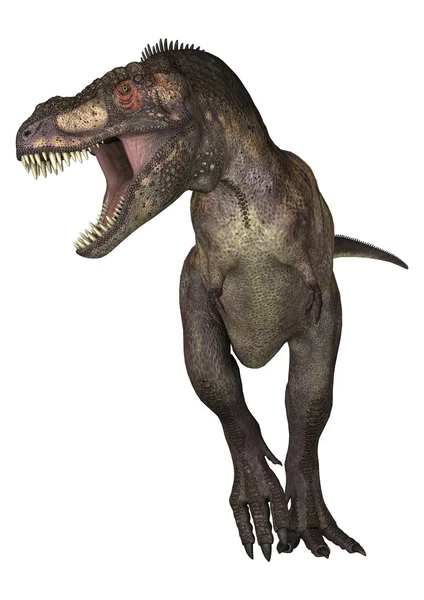 Tyrannosaurus δεινόσαυρος — Φωτογραφία Αρχείου