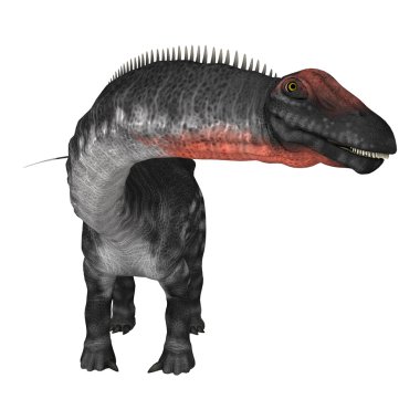 Dinozor Apatosaurus