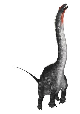 Dinozor Apatosaurus