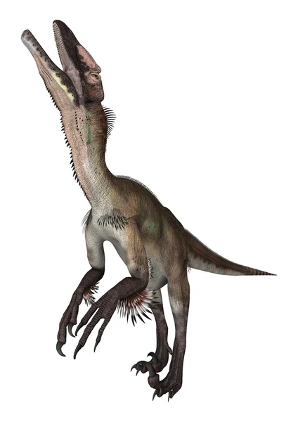 A Utahraptor hiányos dinoszaurusz — Stock Fotó