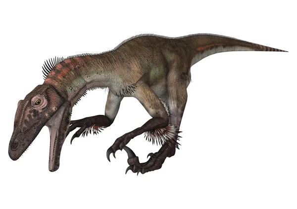 Динозавр utahraptor — стокове фото