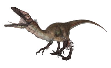 dinozor utahraptor