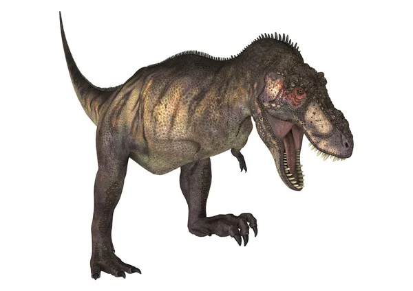 Tyrannosaurus δεινόσαυρος — Φωτογραφία Αρχείου