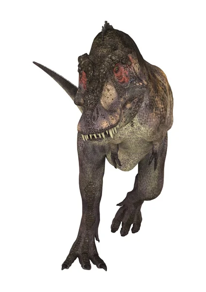 Tyrannosaure dinosaure — Photo