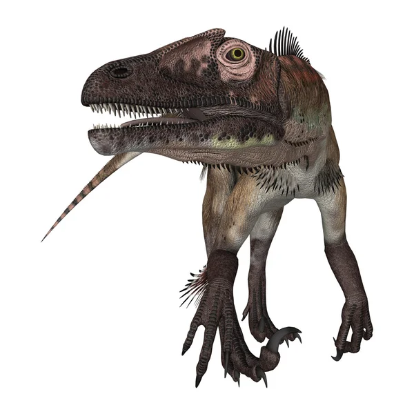 Utahraptor δεινοσαύρων — Φωτογραφία Αρχείου